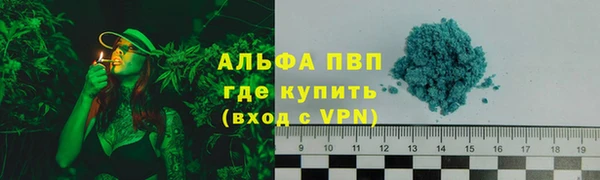 прущие грибы Богородск
