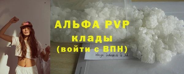прущие грибы Богородск