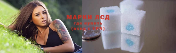 спайс Богданович