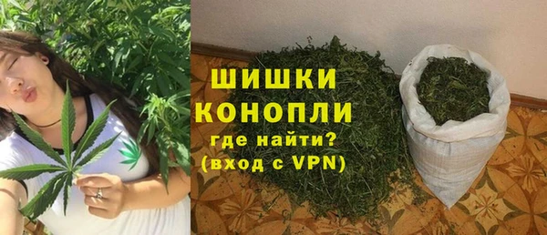 спайс Богданович