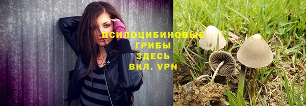 спайс Богданович