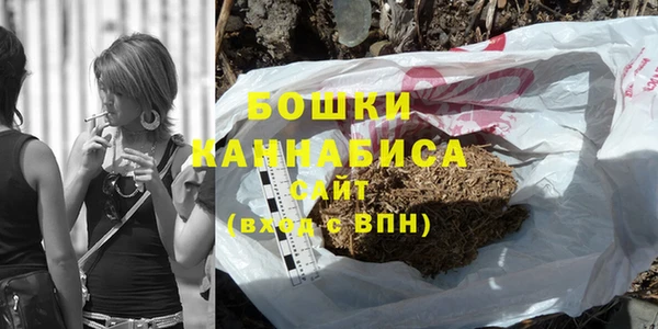 спайс Богданович