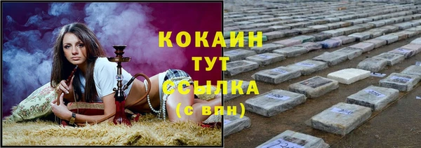 спайс Богданович