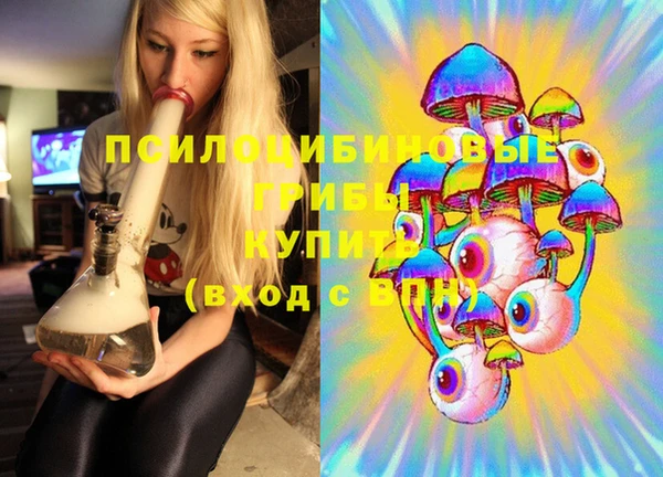 прущие грибы Богородск