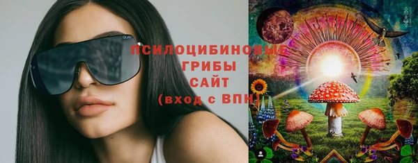 прущие грибы Богородск
