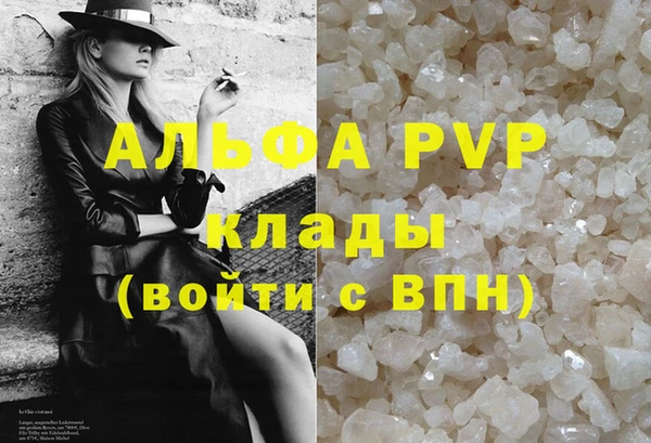 прущие грибы Богородск