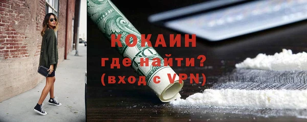 спайс Богданович