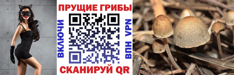 Галлюциногенные грибы Magic Shrooms  Купить  Звенигород 