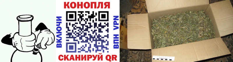 Канабис OG Kush  Купить  Звенигород 